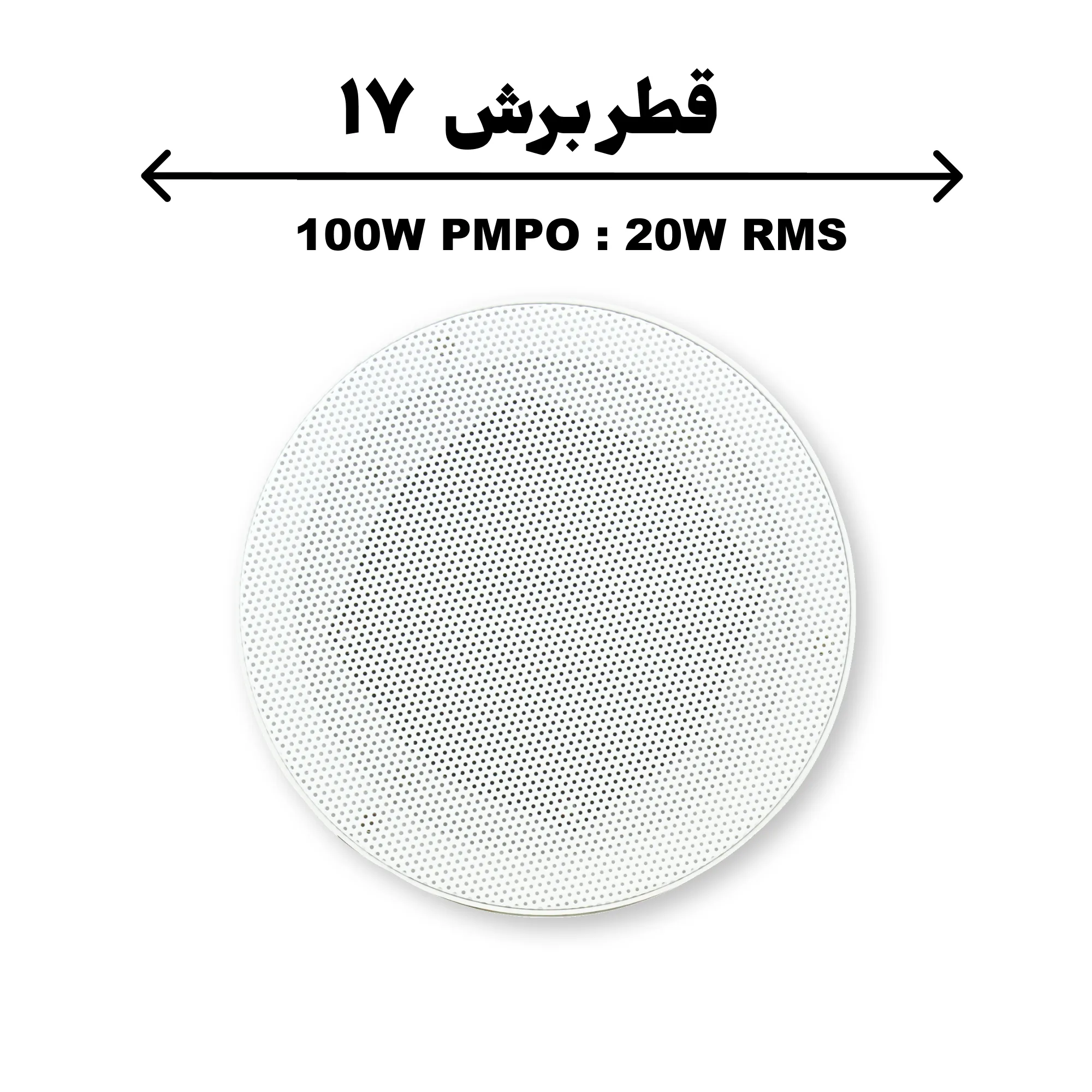 100-1 بلندگو تویتر دار RT100 برش 17